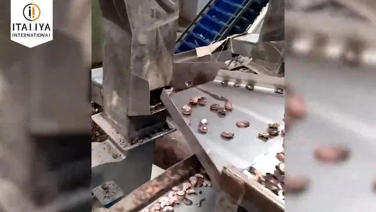 50 HP Cashew Nut Processing Plant