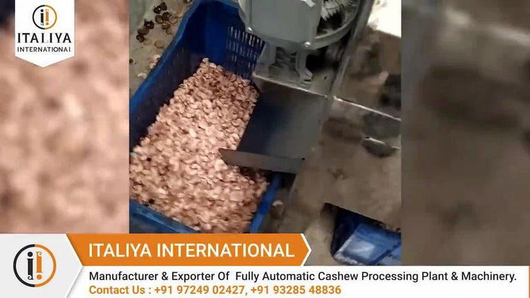 50 HP Cashew Nut Processing Plant