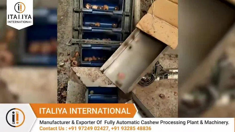 50 HP Cashew Nut Processing Plant