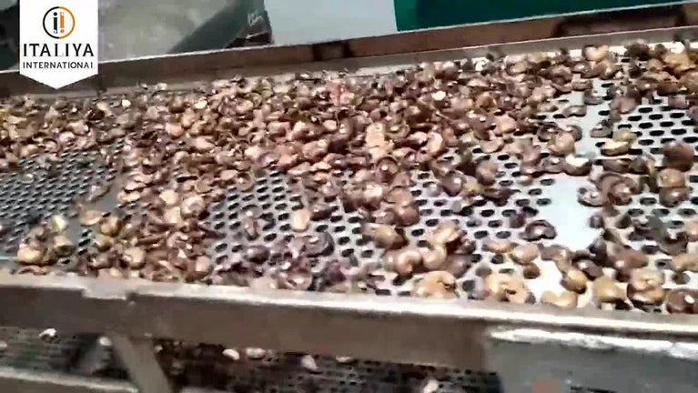 50 HP Cashew Nut Processing Plant