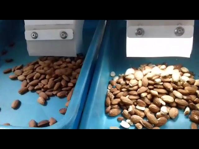 Almond Sorting Machine