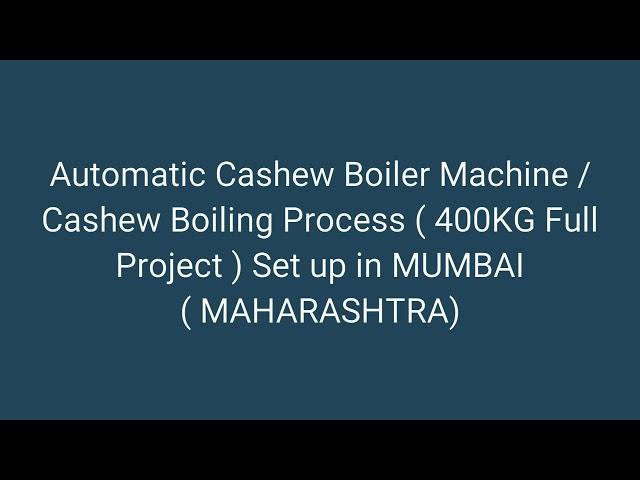 Automatic Cashew Nut Boiler