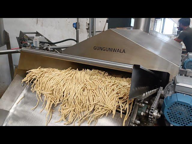 Automatic Continuous  Namkeen Fryer With Wooden Based Thermic Boiler