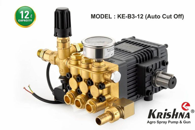 Automatic High Pressure Car Washer Pumps