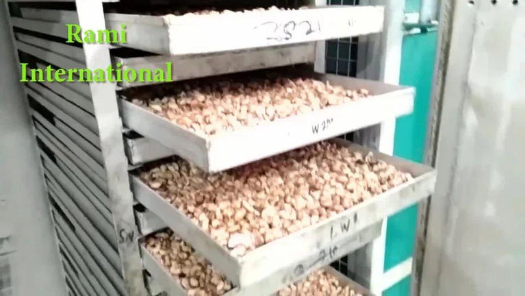 Automatic Kaju Processing Machine