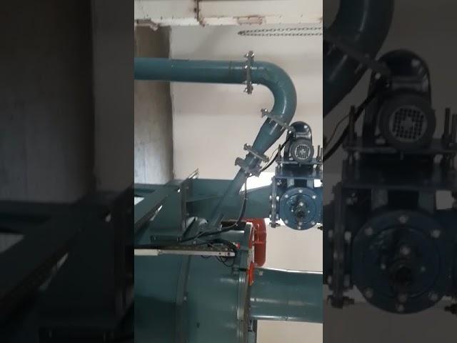 Besan Plant Impact Pulverizer