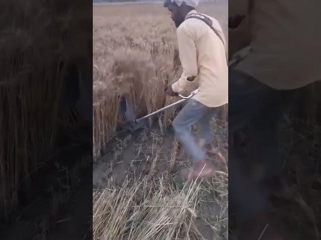 Brush Cutter Machine