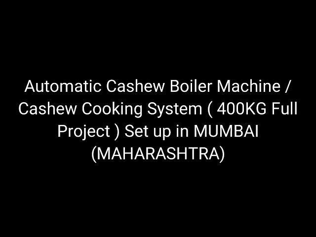 Cashew Steam Cooker With Boiler