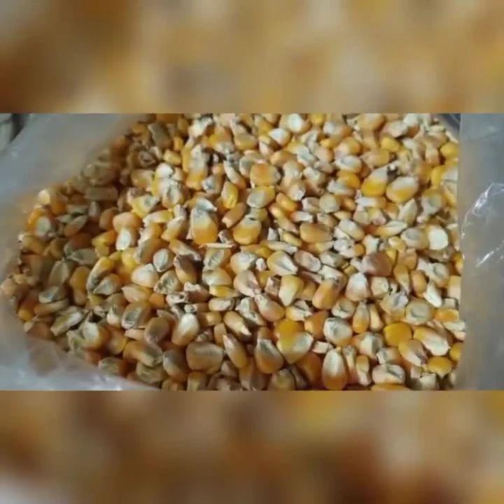 કેટલ ફીડ બનાવવાનું મશીન