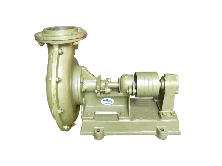 Centrifugal Bare Shaft Coupled Pump With Trolley