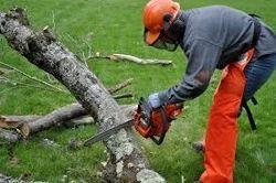 Chainsaw