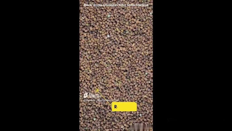 Channa Dal Color Sorter