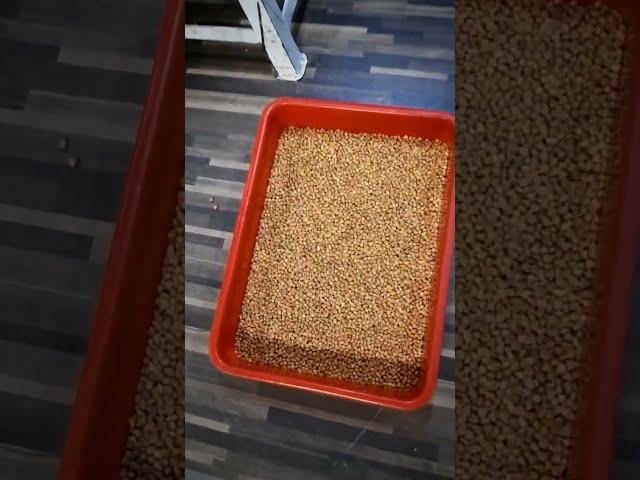 Channa Dal Color Sorting Machine T20 7 Chute