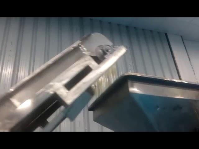 Cheese Ball Processing Plant