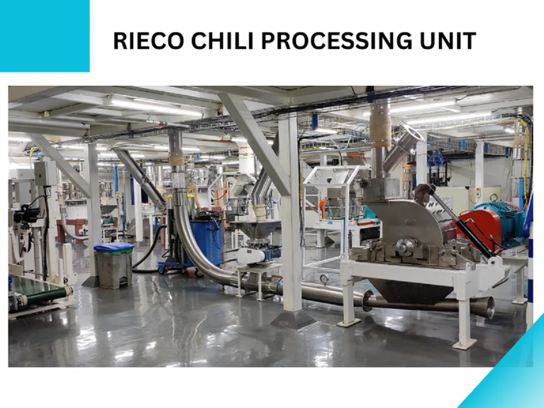 Chili Grinding Machine 250 kg/Hr