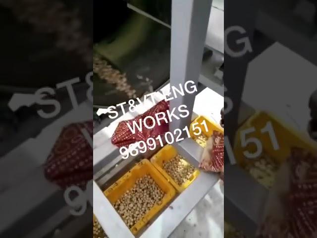 Chilli Roaster Machine