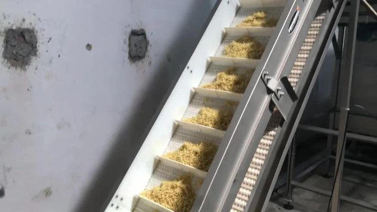 Circular Batch Fryer Machine