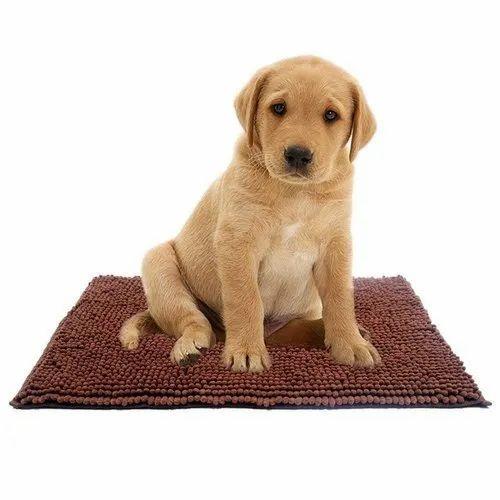 Clean Pooch - Door Mat Rug For Floor And Shoe Scraper Super Absorbent Clean Pooch Clean