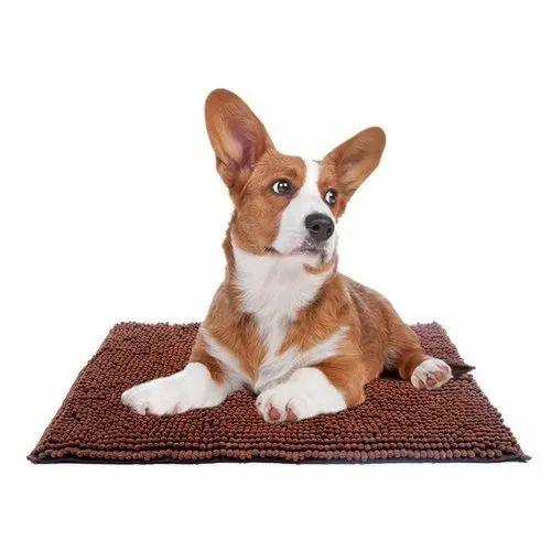 Clean Pooch - Door Mat Rug For Floor And Shoe Scraper Super Absorbent Clean Pooch Clean