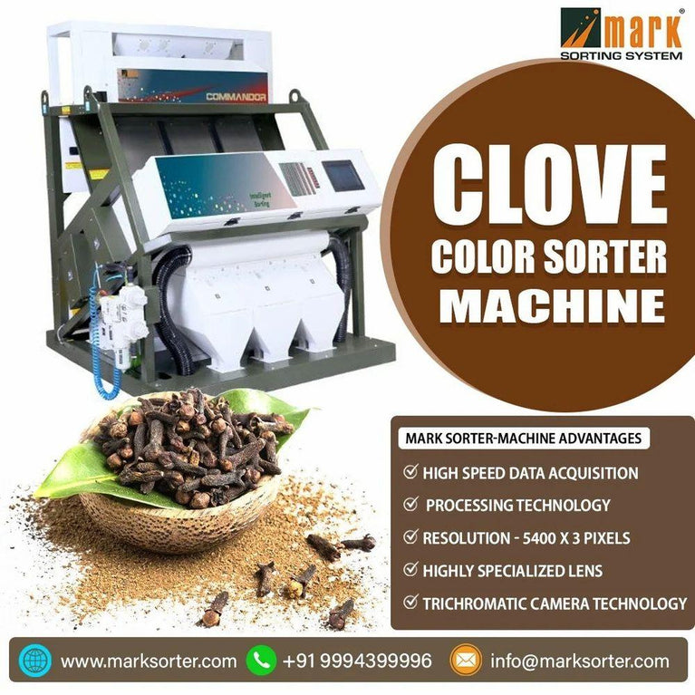 Clove Color Sorter Machine / Cloves Sorting Machine / Color Sorter Machine