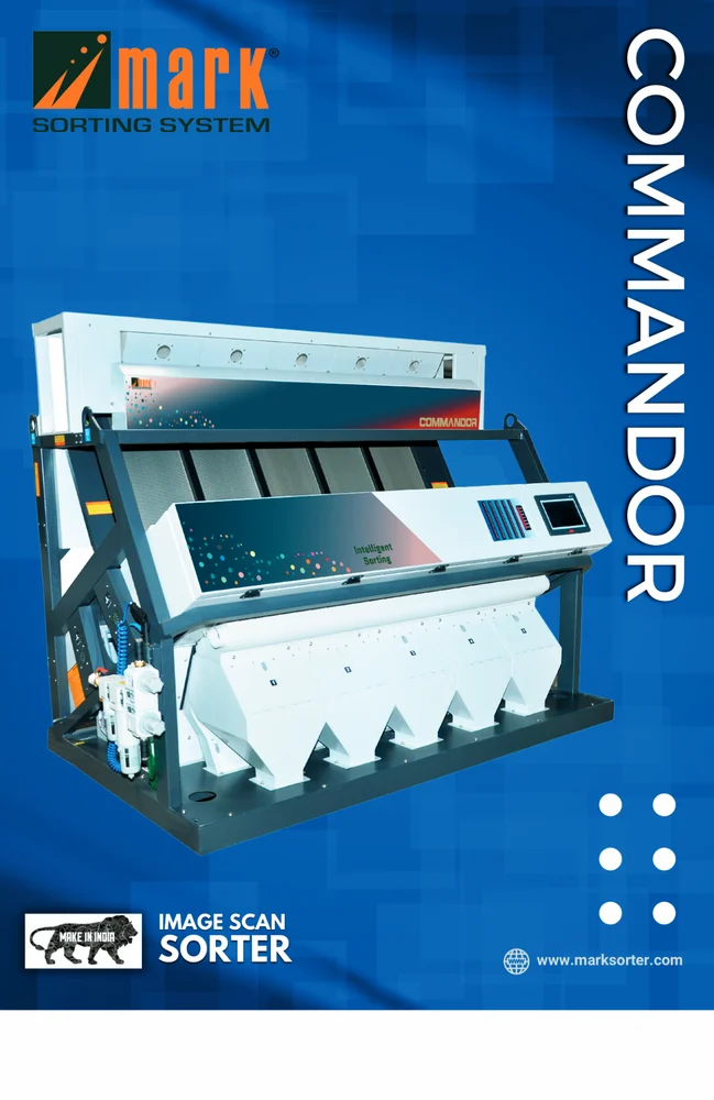 Cluster Beans Color Sorter Machine