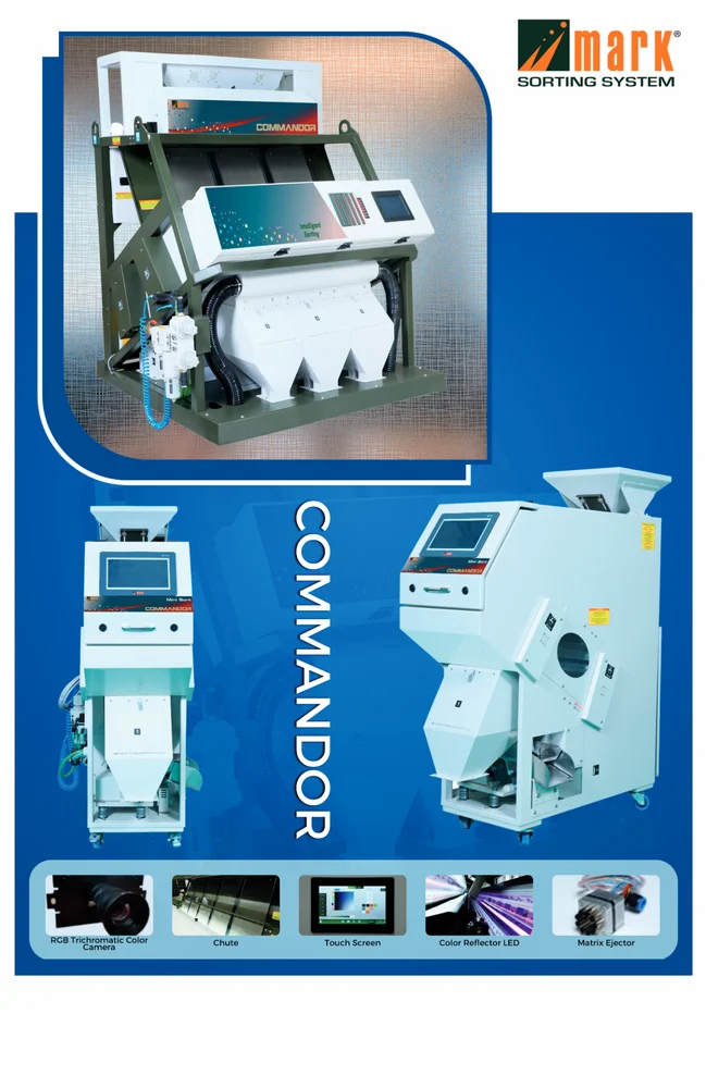 Cluster Beans Color Sorter Machine