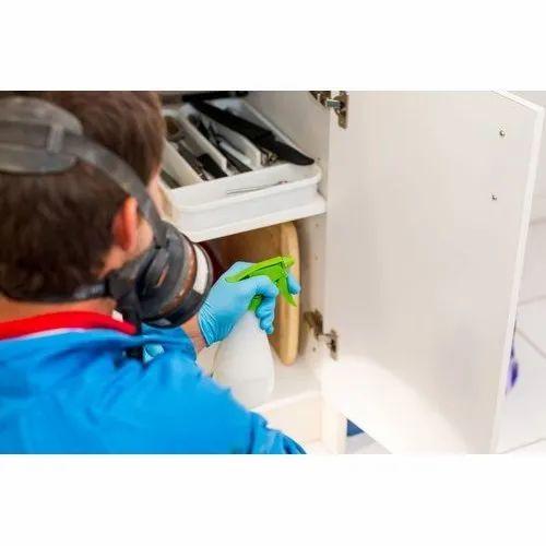 Cockroaches Pest Control Services