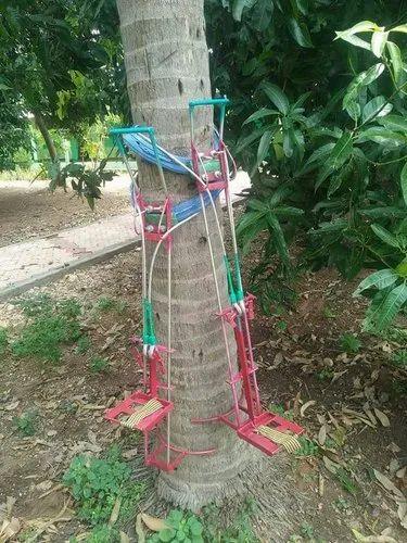 Coconut Tree Climber