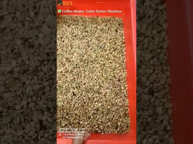 Coffee Bean Color Sorting Machine