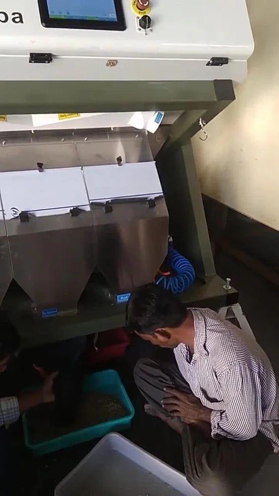 Color Sorter Machine