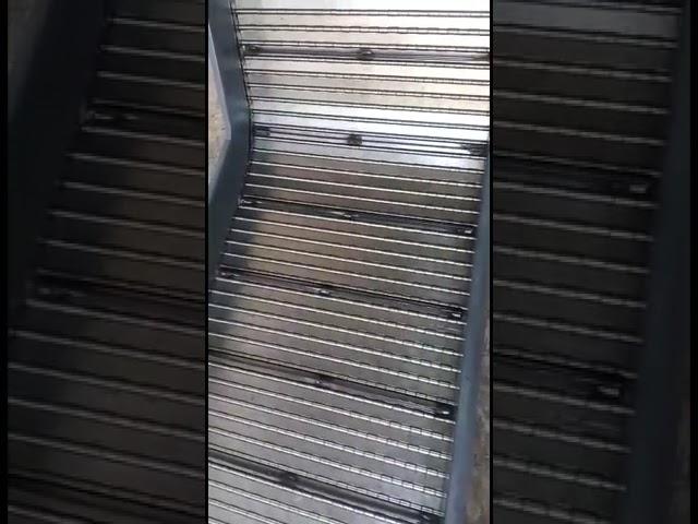 Conveyor Chain .