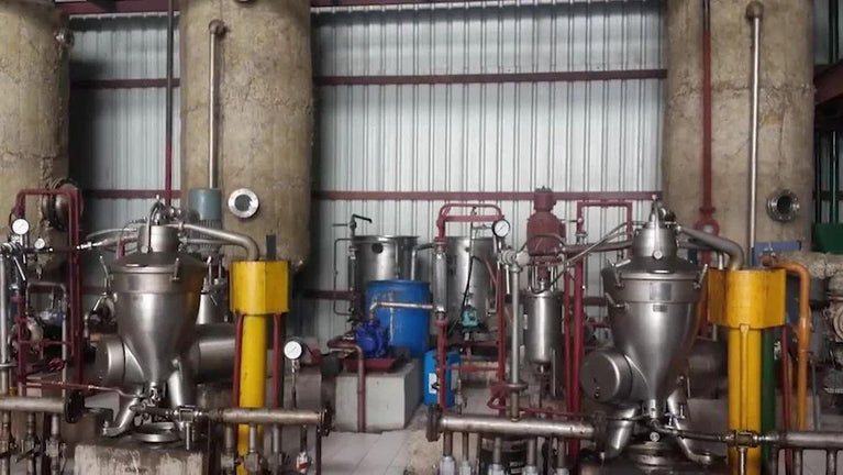 Edible Oil Refining Plants