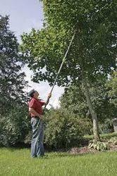 Fruit Picker