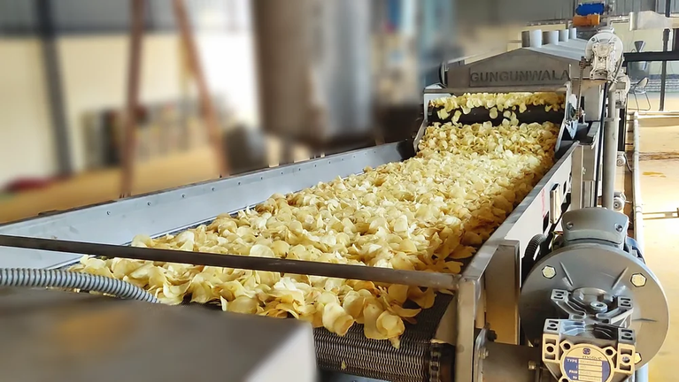 Fully Automatic Banana Plantain Chips Line