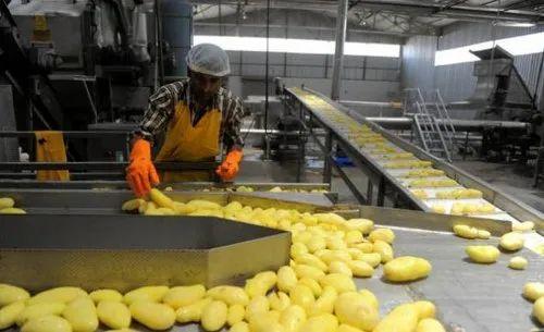 Fully Automatic Potato Chips Line