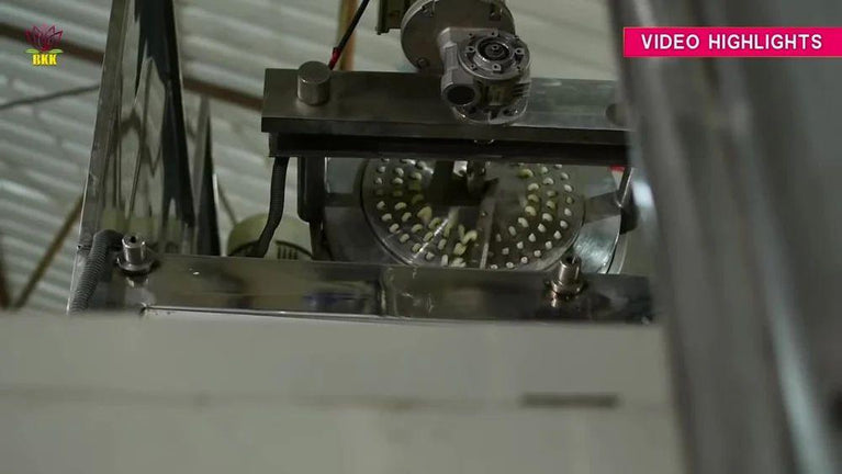 Industrial Pasta Extruder Machine