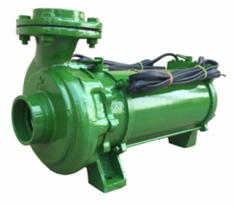 Koel TEFC Electric Pump