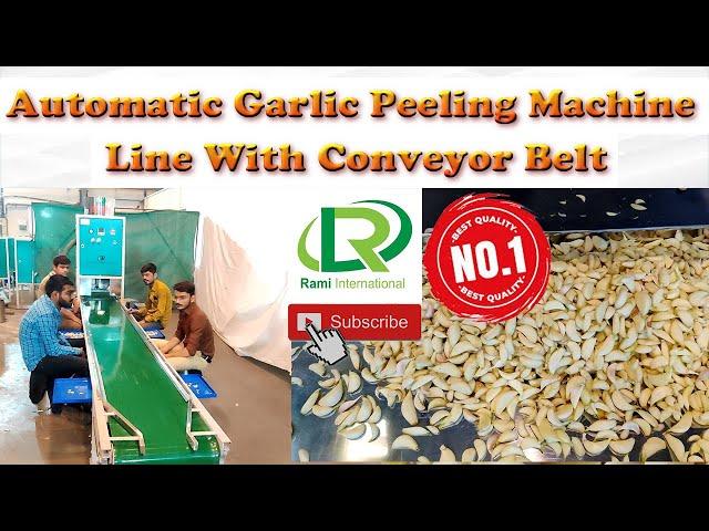 Lahsun Peeling Machine