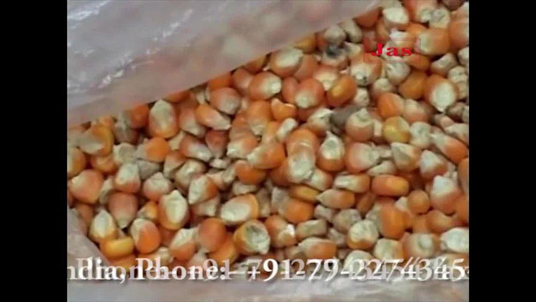 Maize Mill