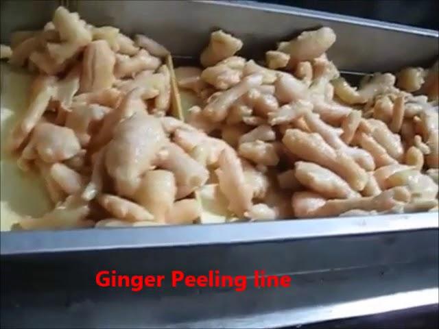 Multi Peeling Machine 100KG/H