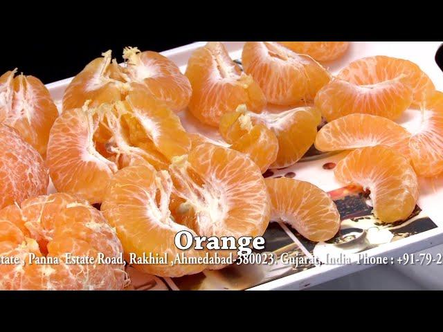 Orange Juice Making Machine