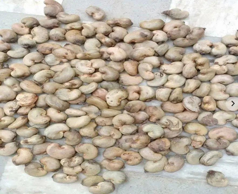 Organic Raw Cashew Nuts