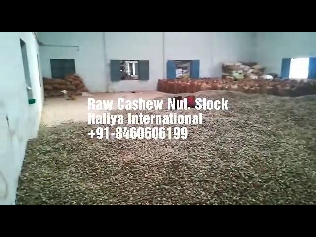 Organic Raw Cashew Nuts