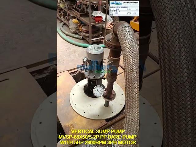 PP Vertical Sump Pump