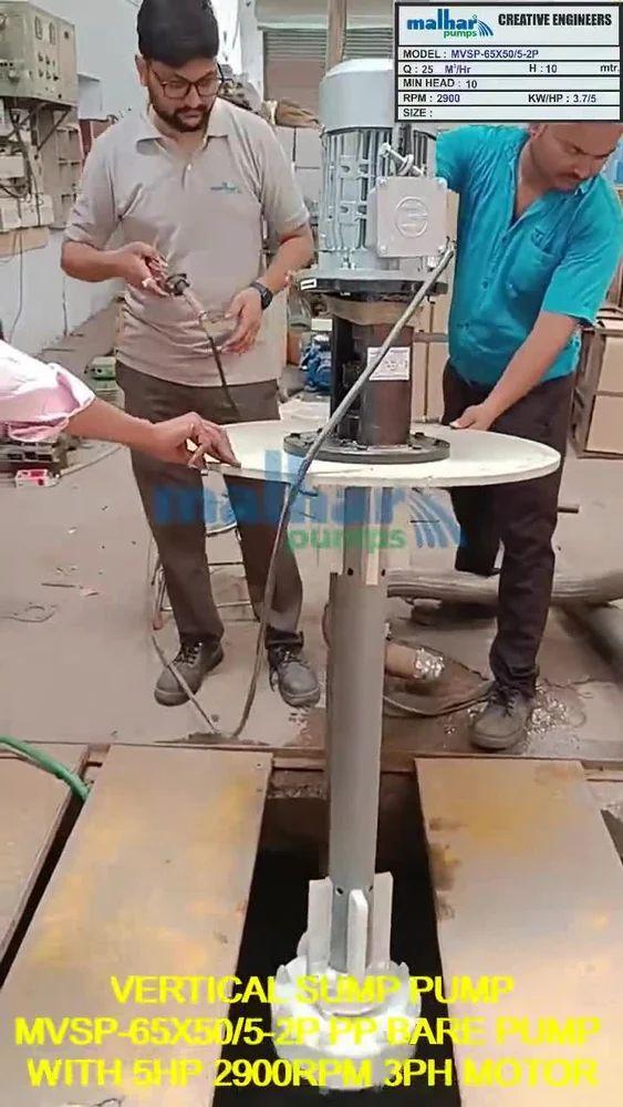 PP Vertical Sump Pump