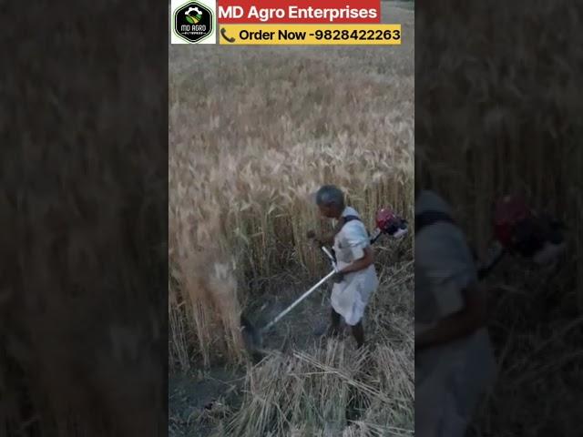 Petrol Backpack Brush Cutter