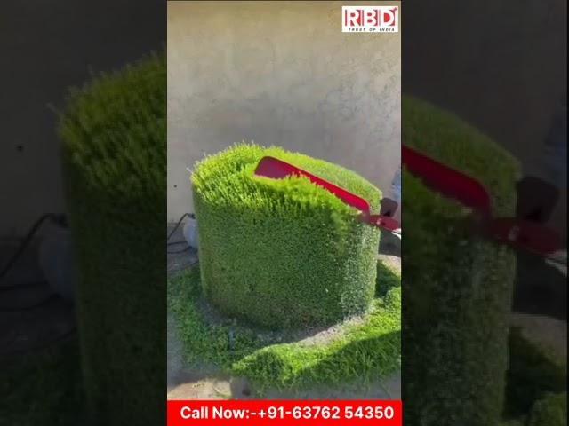 Petrol Hedge Trimmer