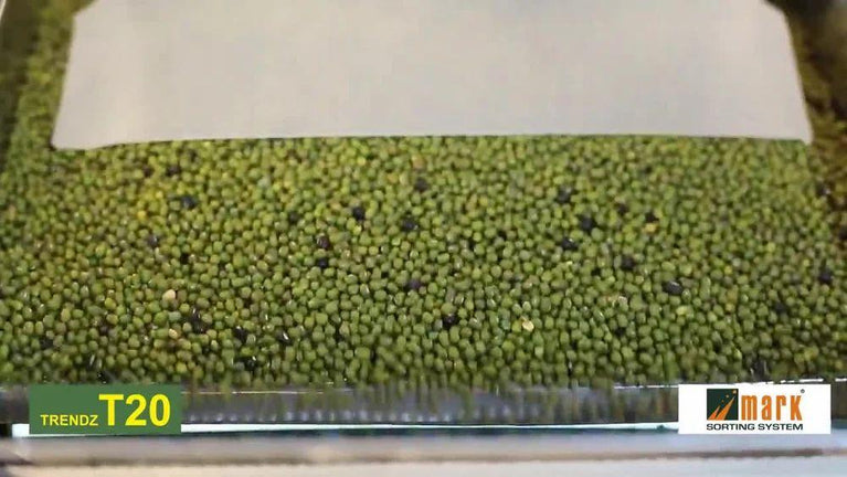 Pulses Color Sorting machine T20 - 4 Chute