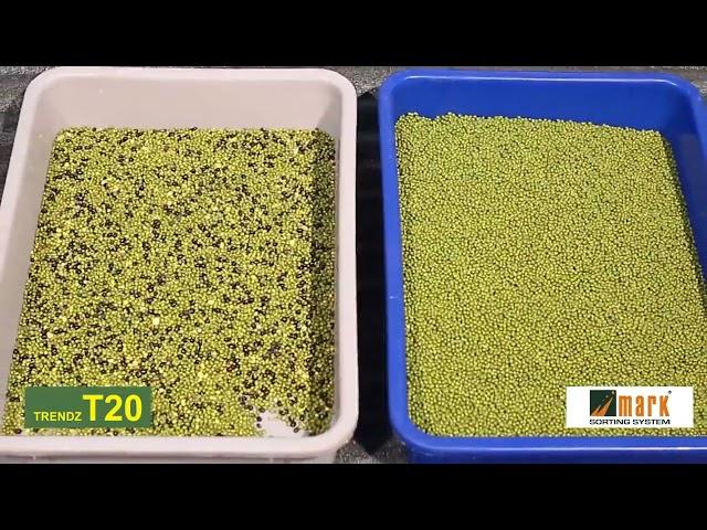 કઠોળ વર્ગીકરણ મશીન T20 -10 ચૂટ