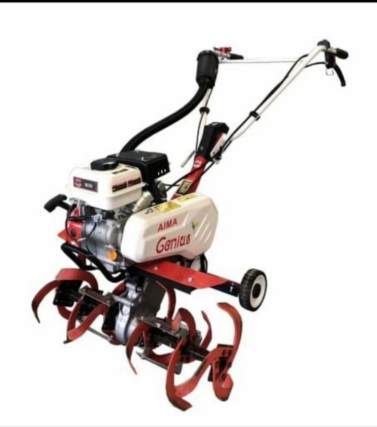 RIGA ITALY Power Weeder 4.5 Hp